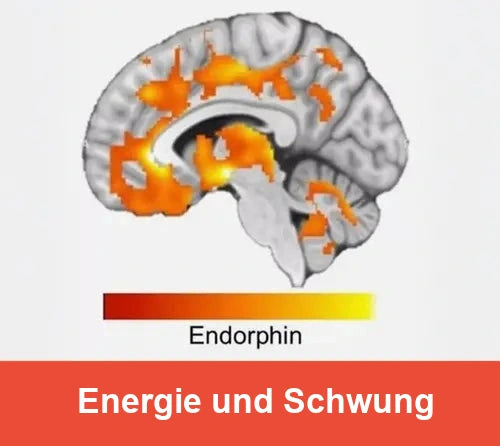 Du bekommst neue Energie und Vitalität